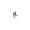 55.13222.010 THERMOSTAT EGO